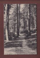 MACOLIN - Bois de l'Hôtel Bellevue
