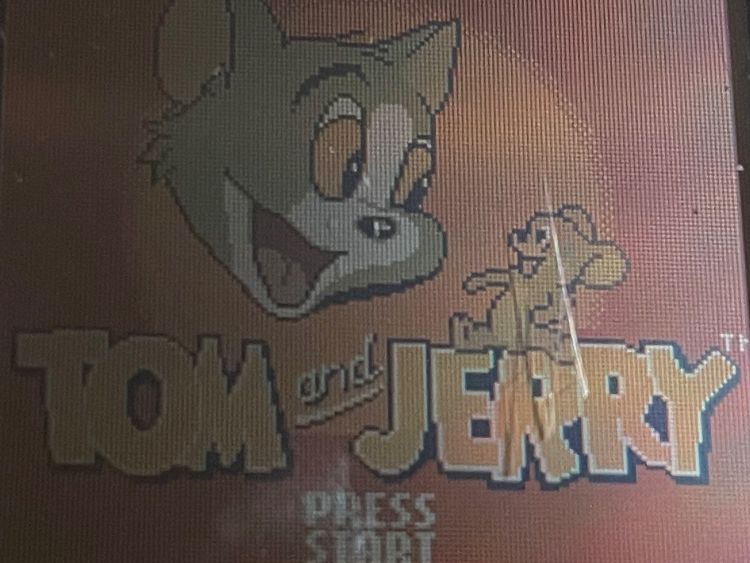 Nintendo Giochi: Tom & Jerry: Mousehunt - Game Boy Color Spiel – Usato da Zuerich venduto da Dorsi 2