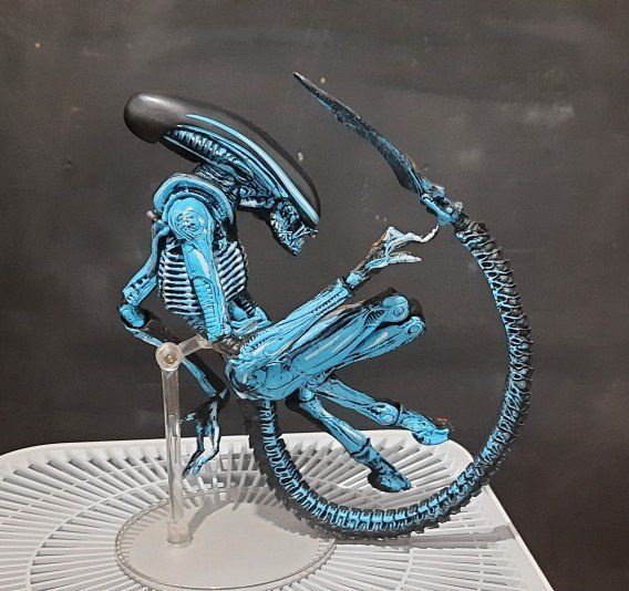 Figuren: Neu/OVP Xenomorph Alien 3 multicolor Figure - 18cm – Neu (gemäss Beschreibung) aus Glattbrugg von  7