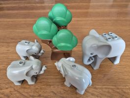 Duplo Set Elefanten (Y325)