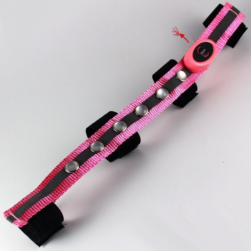 Zaumzeug & Halfter: LED Set Pink Full – Neu (gemäss Beschreibung) aus Kerzers von sb_12 2