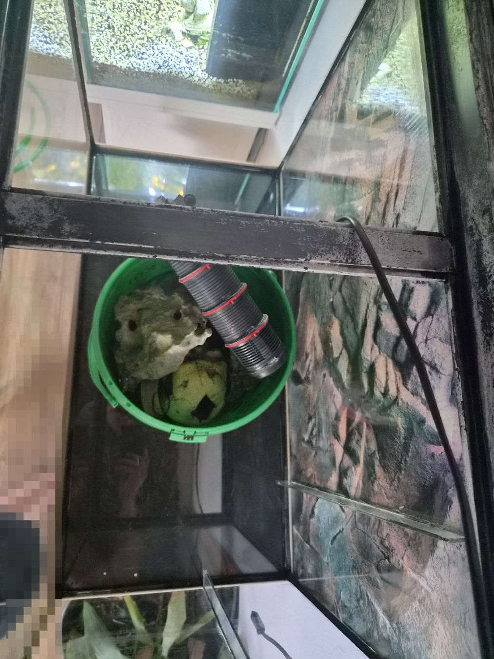 Acquari: Aquarium 120L mit Schrank und Filter – Usato da Bürglen TG venduto da Trucker96 1