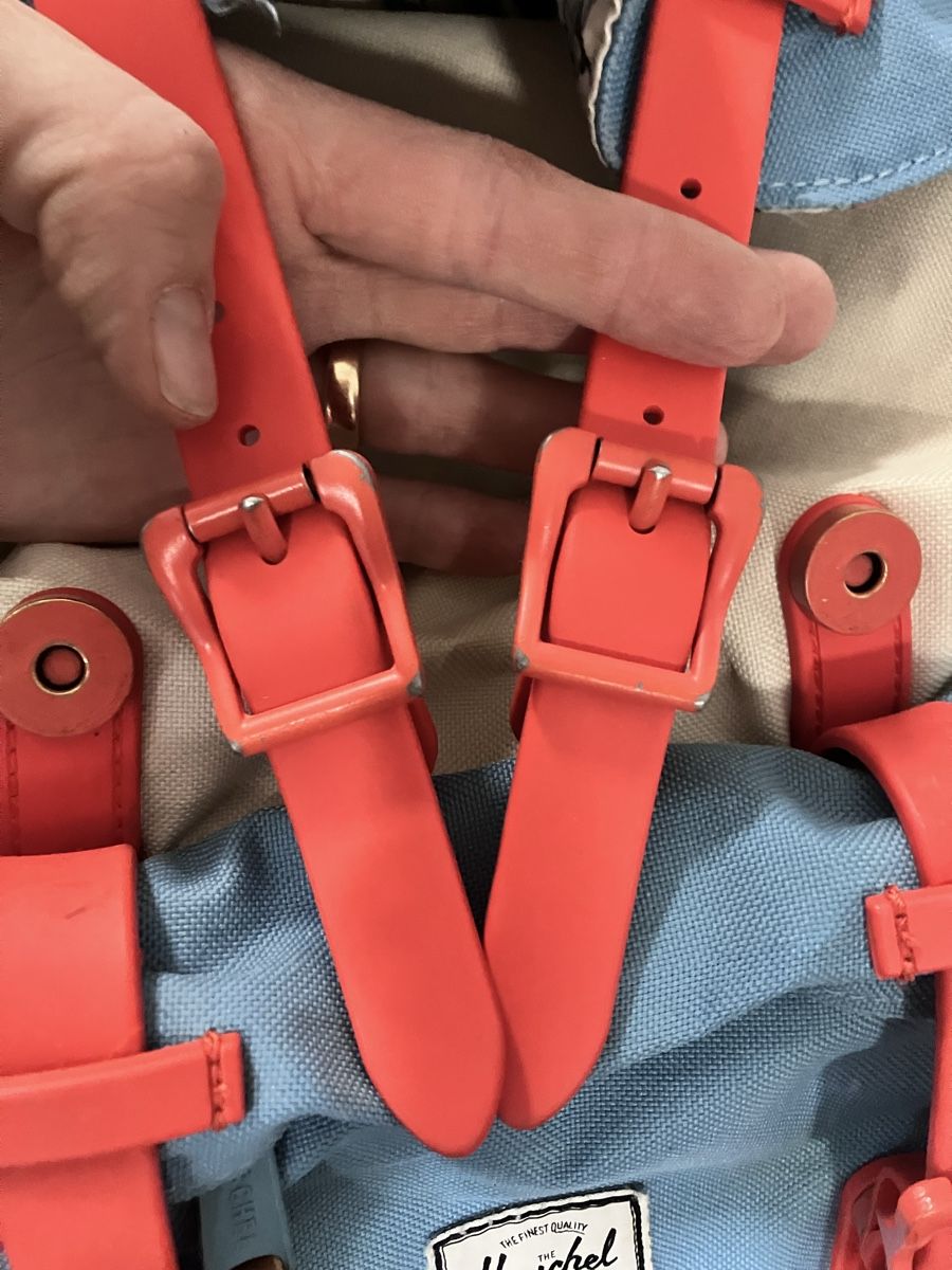 Rucksäcke: Herschel Rucksack gebraucht Auto Motiv – Gebraucht aus Winterthur von CocoTheCat 3