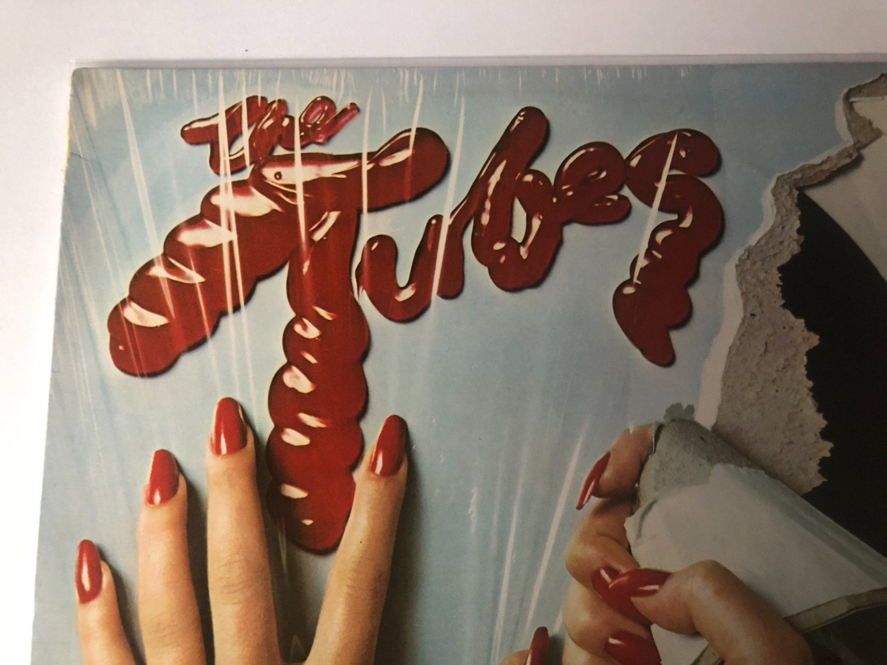 Dischi in vinile: The Tubes – Usato da Aarwangen venduto da Jukebox3 1