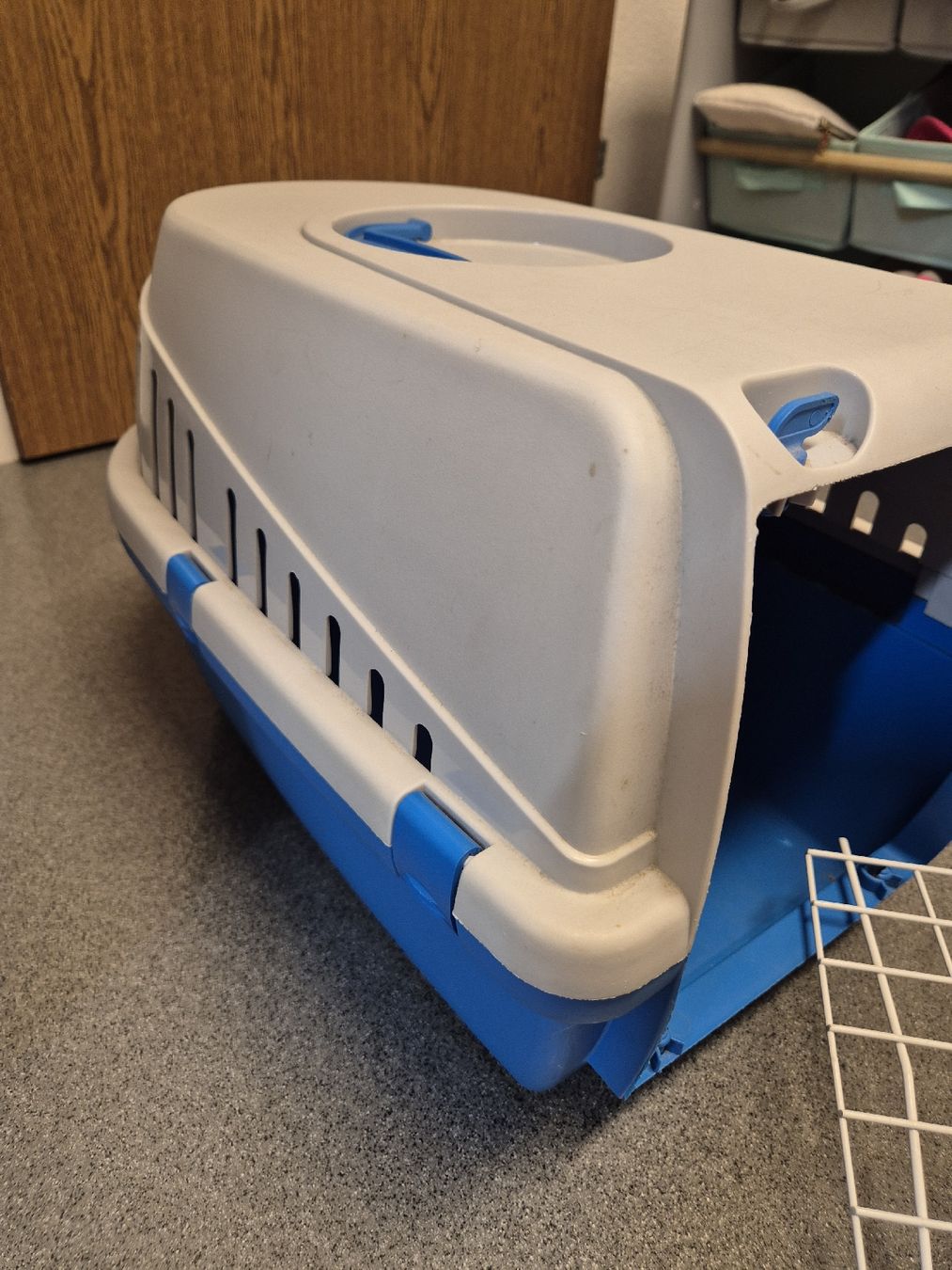 Liege- & Schlafplätze: Transportbox Katze blau – Gebraucht aus Ebikon von Familiekunterbunt 1