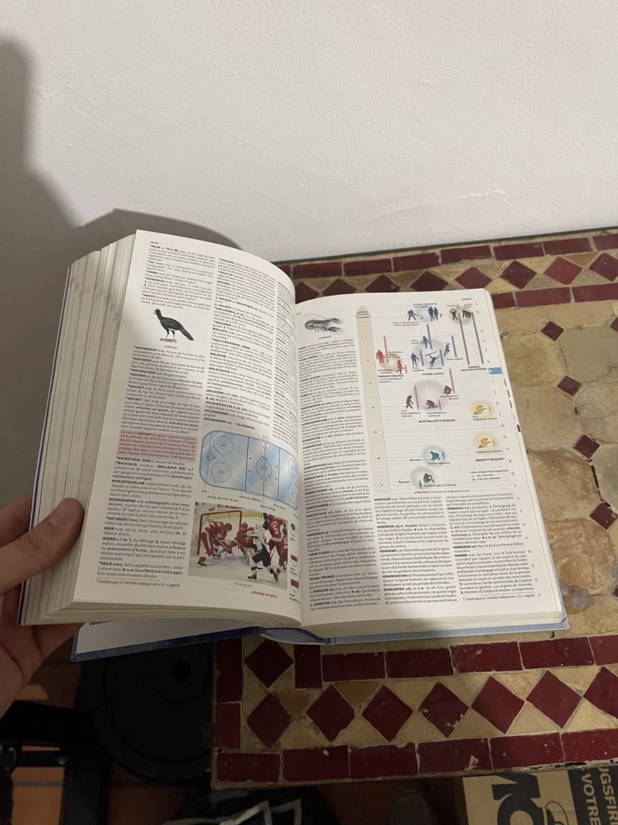Libri: Dictionnaire Larousse illustré – Usato da Fribourg venduto da Barlocher 2