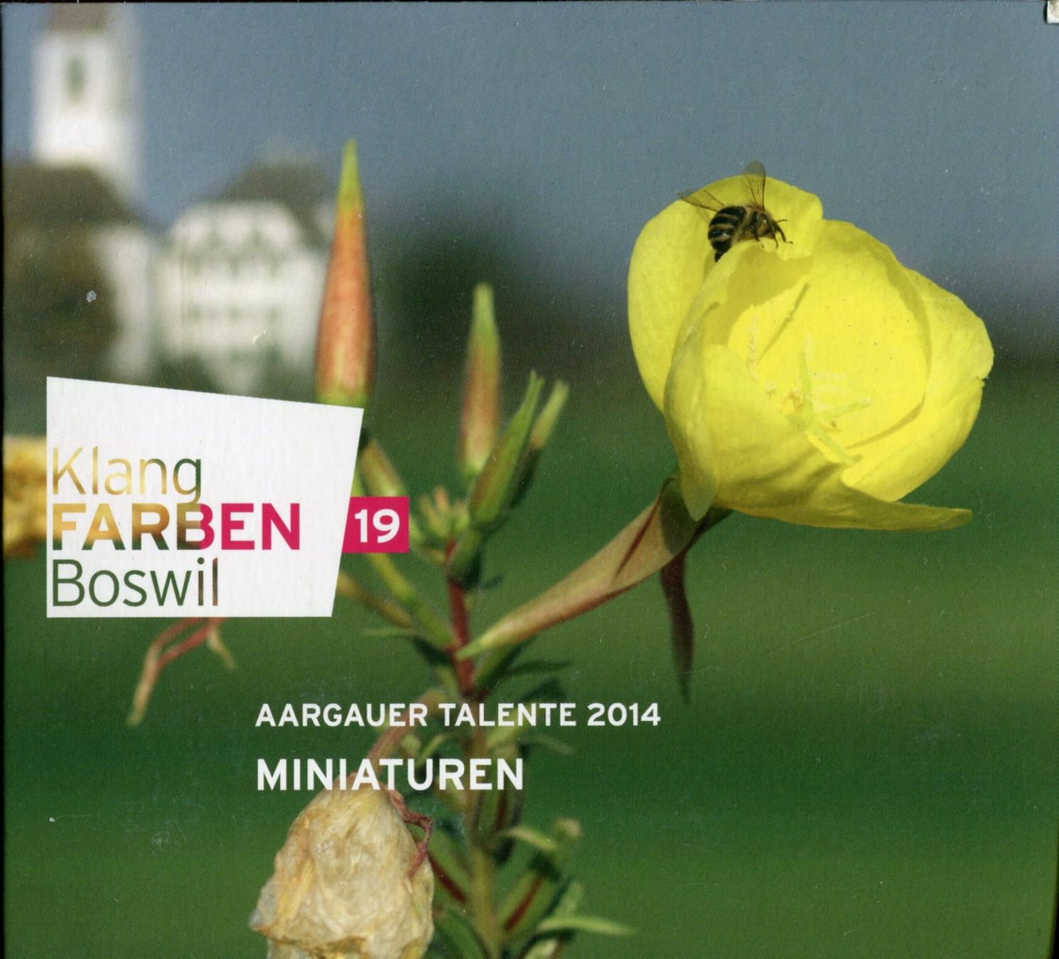 CDs: CD, Aargauer Talente 2014 – D'occasion à Aarau par Elmaar41