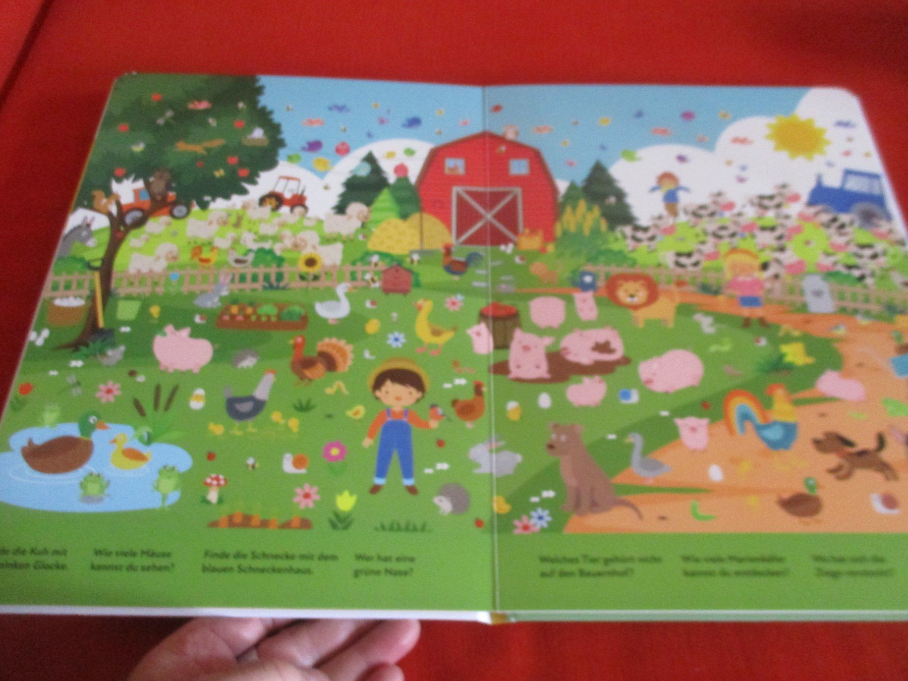 Libri: Wimmelbuch Tiere – Usato da Birsfelden venduto da alles-muss-raus 1