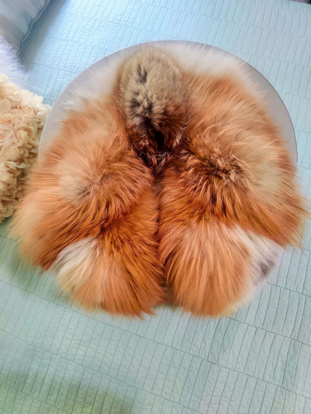Foulard & Sciarpe: Luxurious Real Fur stole – Usato da Effretikon venduto da wie_p8sj