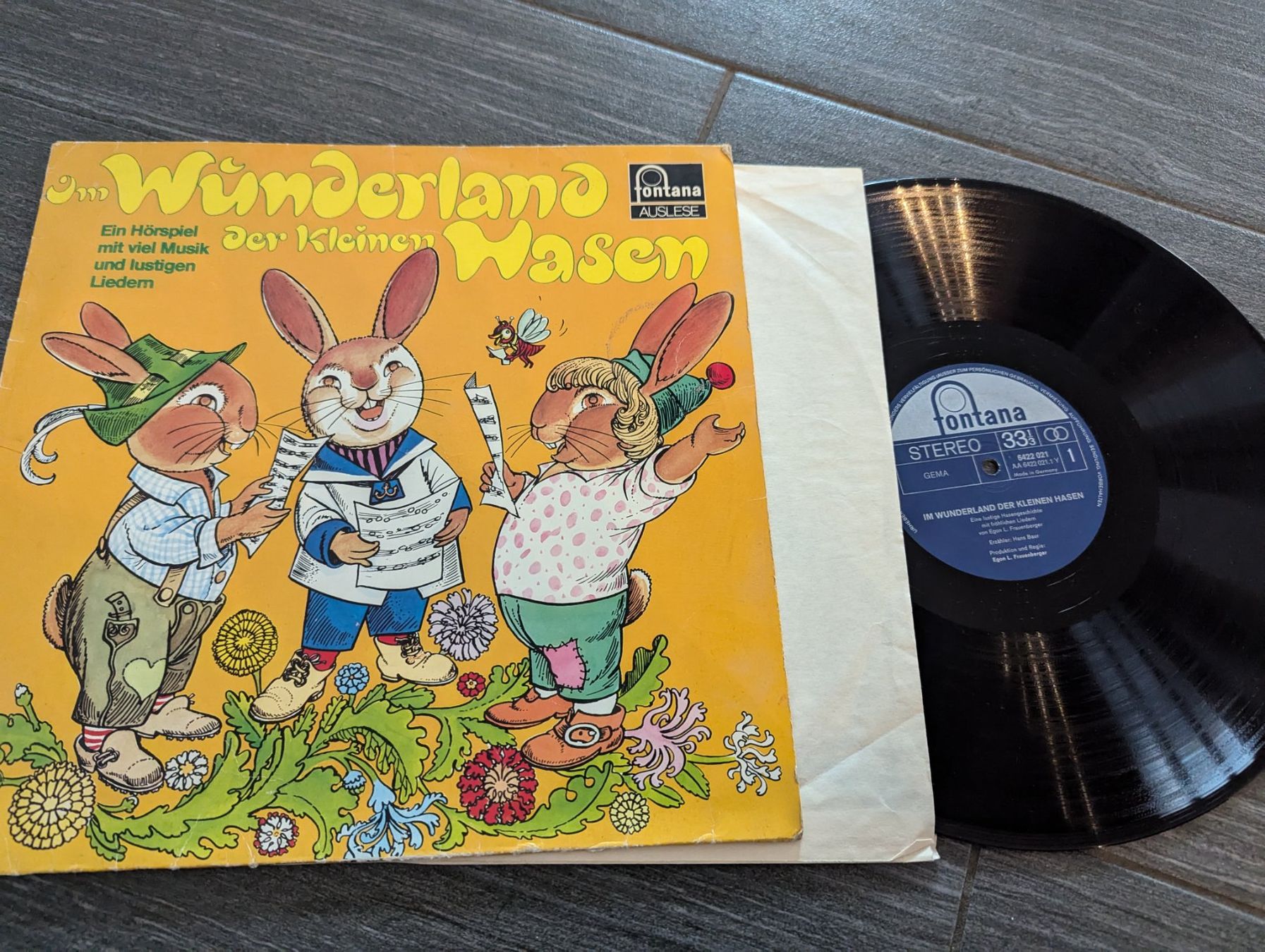Dischi in vinile: Schallplatte im Wunderland der kleinen Hasen – Usato da Wangen ZH venduto da Nadja056 1