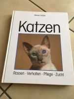 Katzen Rassen Verhalten Pflege Zucht