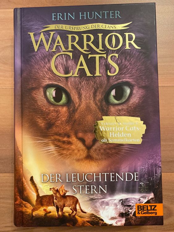 LED Stern Party Set - 7 Stück Leuchtende Sterne Für Feste & Events