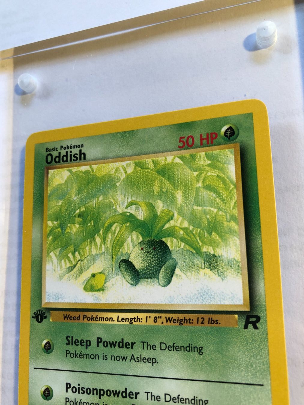 Cartes à collectionner: Oddish 1st Team Rocket - MINT - ab 1.- – D'occasion à Giubiasco par dan_pr8b 3