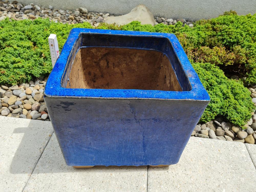 Blumentopf blau Kaufen auf Ricardo