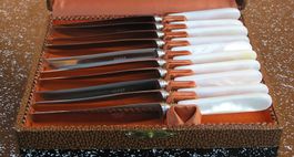 10 VINTAGE MESSER DESSERTMESSER PERLMUTTOPTIK