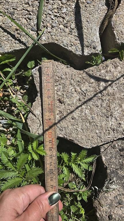 Pietre & tegole: Verbundsteine / m2 – Usato da Hinteregg venduto da yro_8qv6 2