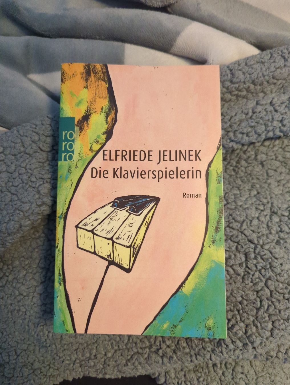 Libri: Die Klavierspielerin – Nuovo (secondo la descrizione) da Buchs ZH venduto da mil_929h