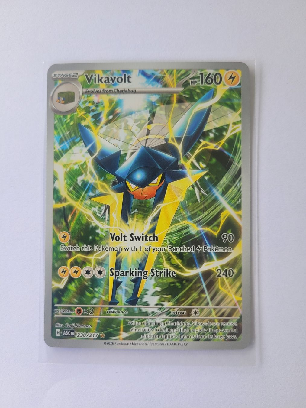 Pokémon Carte collezionabili: Pokemon Vikavolt EN – Nuovo (secondo la descrizione) da Brunnen venduto da Schlumpf018
