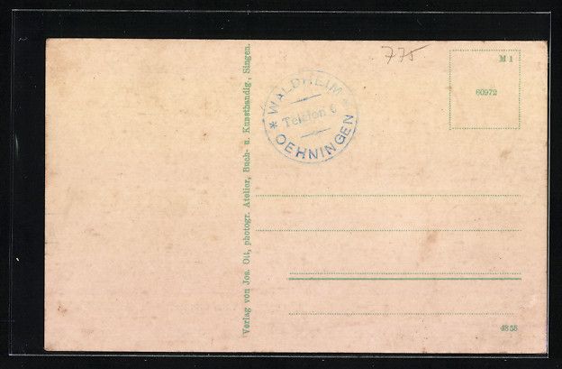 Cartoline postali: AK Oberwald, Blick auf Gasthaus Waldheim – Usato da Berlin venduto da bartko-reher 1