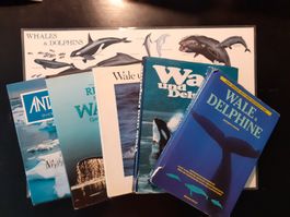 Bücher über Wale und Delphine plus 1 Plakat