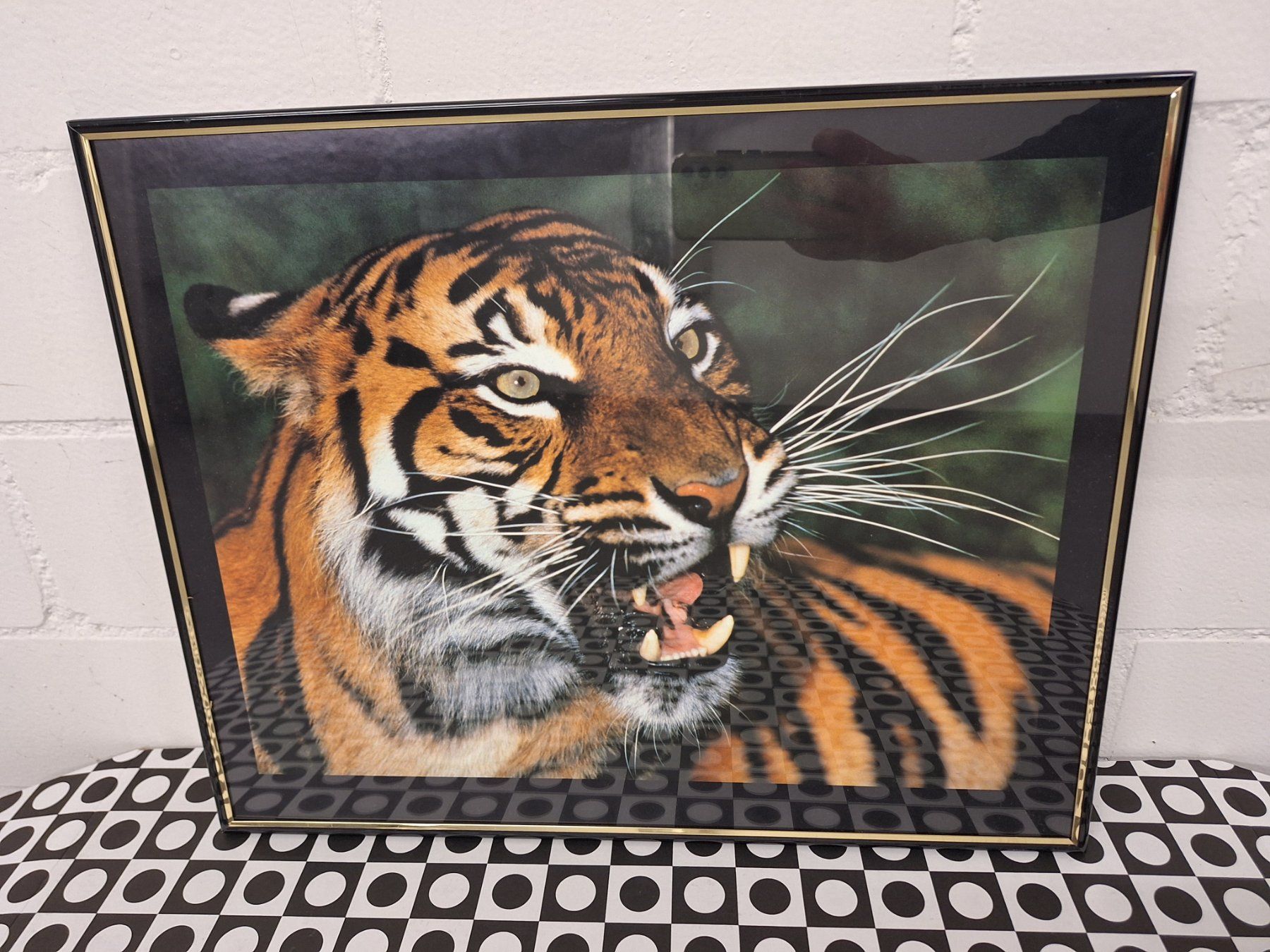 Foto & Immagini: Wandbild "Tiger" – Usato da Niederhasli venduto da ZZoki