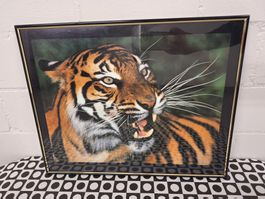 Wandbild "Tiger"