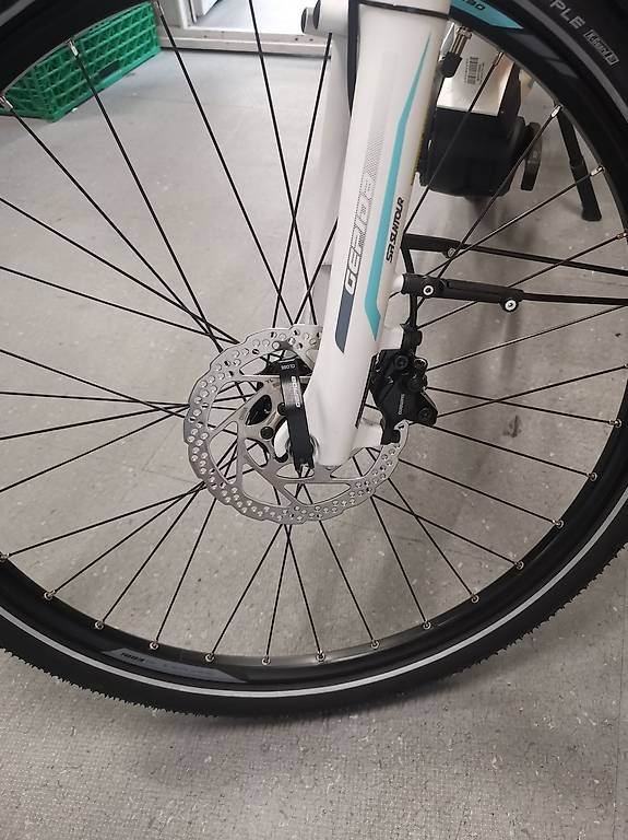 Velos: Gepida Reptila Disc 900  – Gebraucht aus Bellinzona von MISTER.BIKE 4