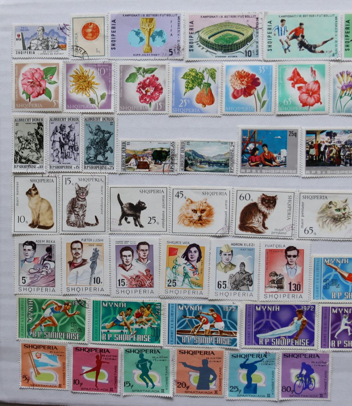 Tutti i francobolli: Briefmarken Albanien – Usato da Oberentfelden venduto da lakipul 1