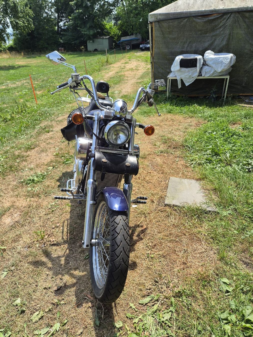 Kawasaki Chopper: Kawasaki VN 15 SE – Gebraucht aus Hochdorf von TT_GARAGE 3