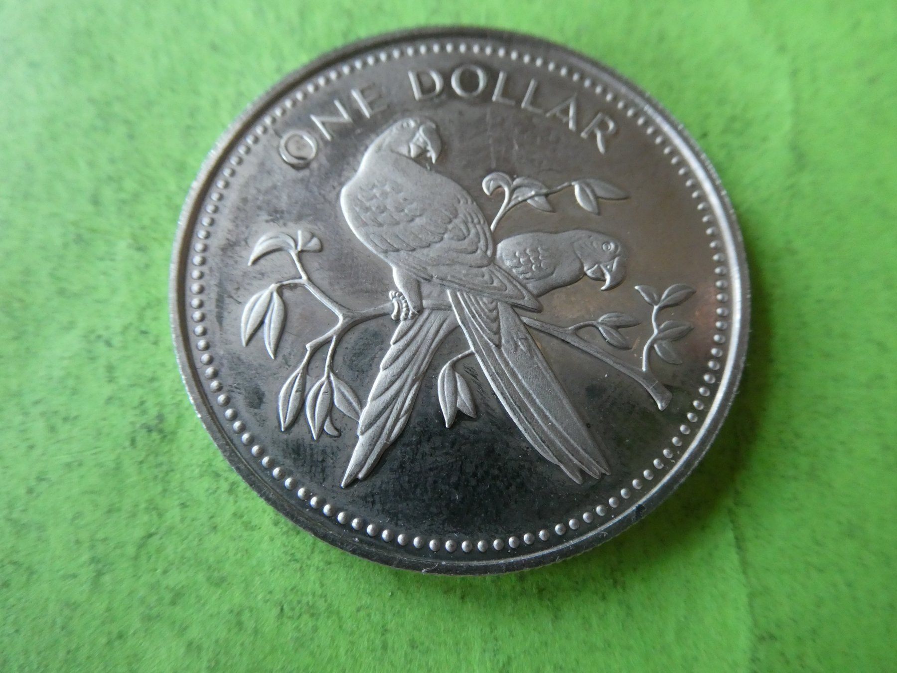 Tutti le monete: Belize 1974, 1 Dollar unzirkuliert – Usato da Hinterforst venduto da Rohusri 1
