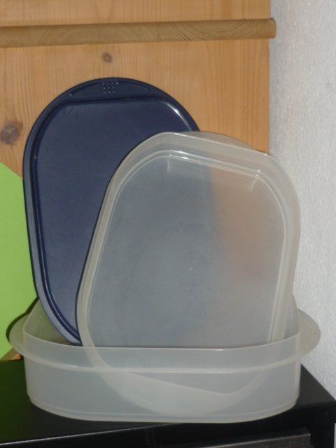 Tupperware Contenitori & Simili: TUPPERWARE FÜR AUFSCHNIT UND KÄSE – Usato da St.Gallen venduto da Anso 3