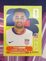 USA 8