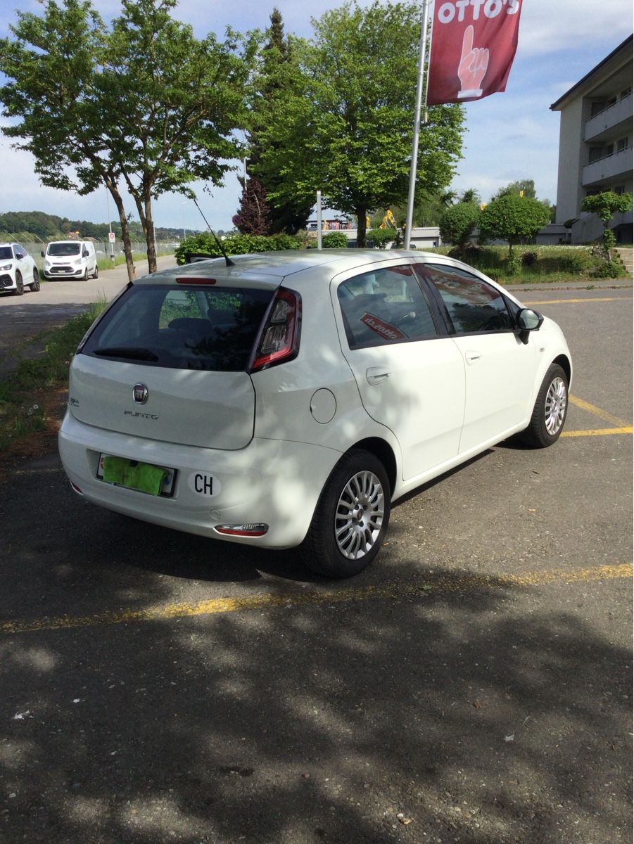 Fiat Automobili: Fiat Punto 1.2 Young – Usato da Dietikon venduto da Rocky34 2
