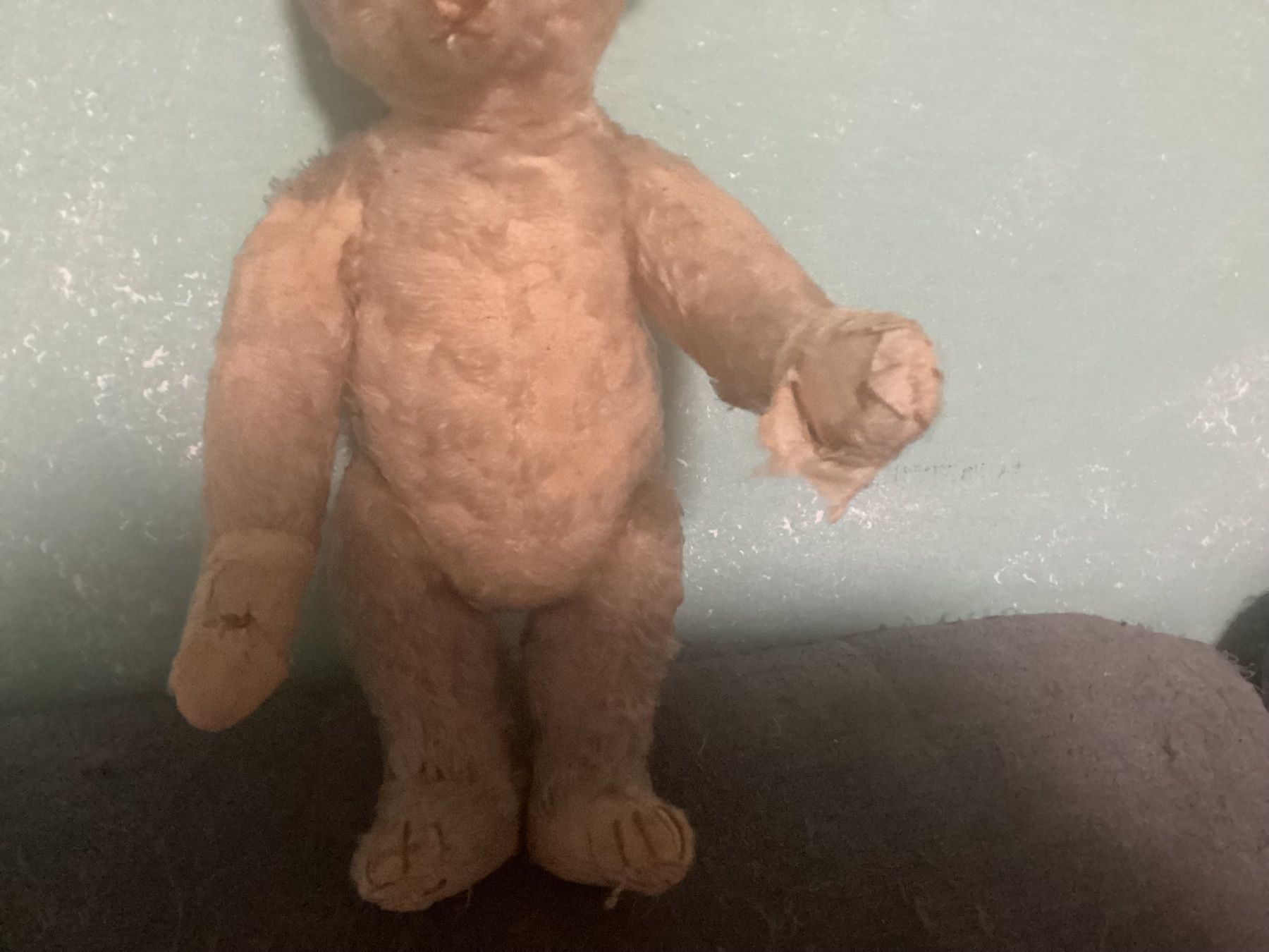 Steiff Giocattoli: ANTIKER STEIFF TEDDY 1910/1920 – Usato da Münchenstein venduto da NoSu98 7