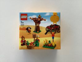 Lego 40261 Creator Thanksgiving NEU/OVP