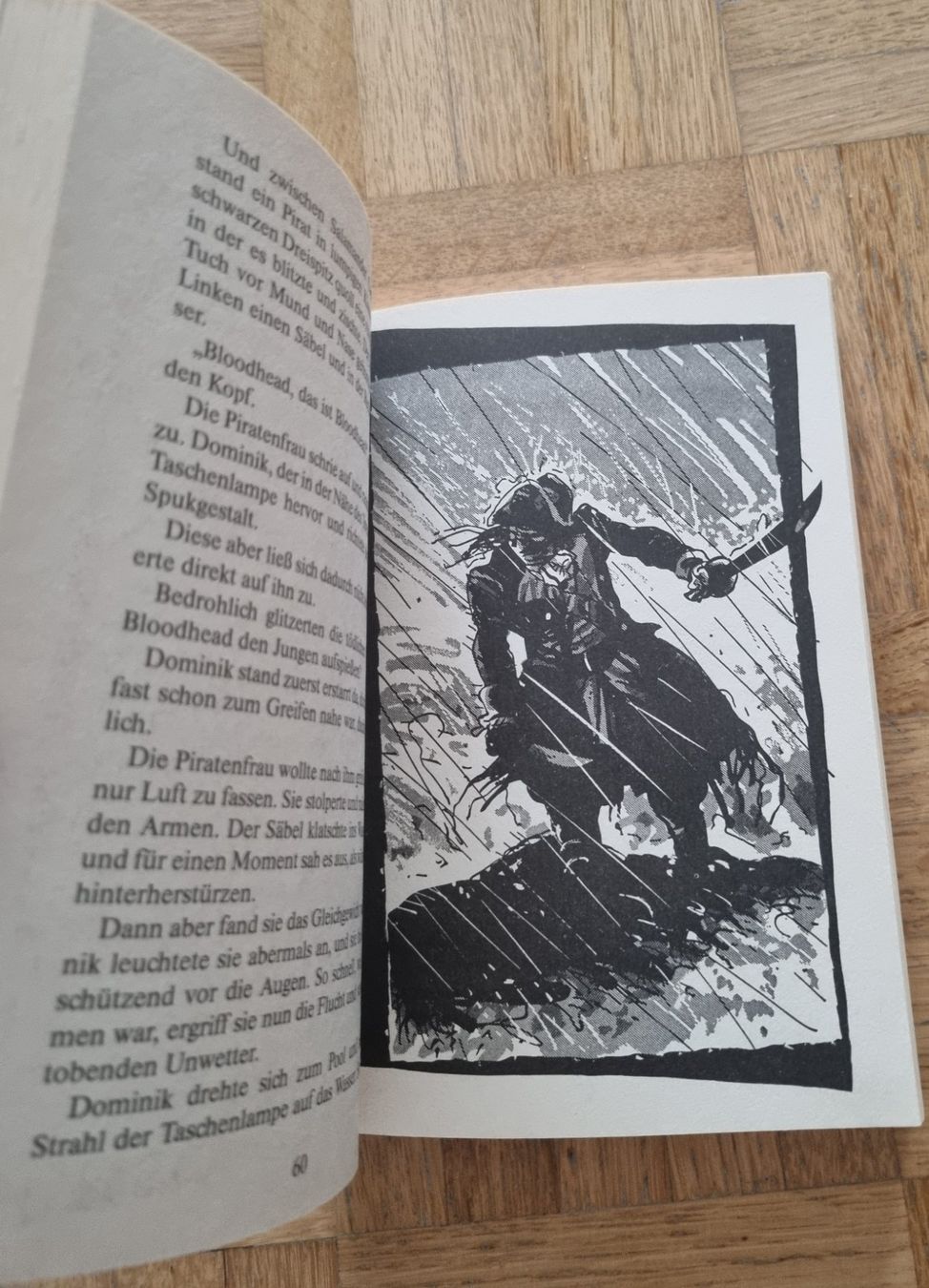 Bücher: Die Knickerbocker Bande. Das Haus der Höllensalamander. – Gebraucht aus Urtenen-Schönbühl von Kahru 3