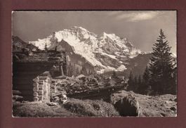 JUNGFRAU von Wengen aus - 1938