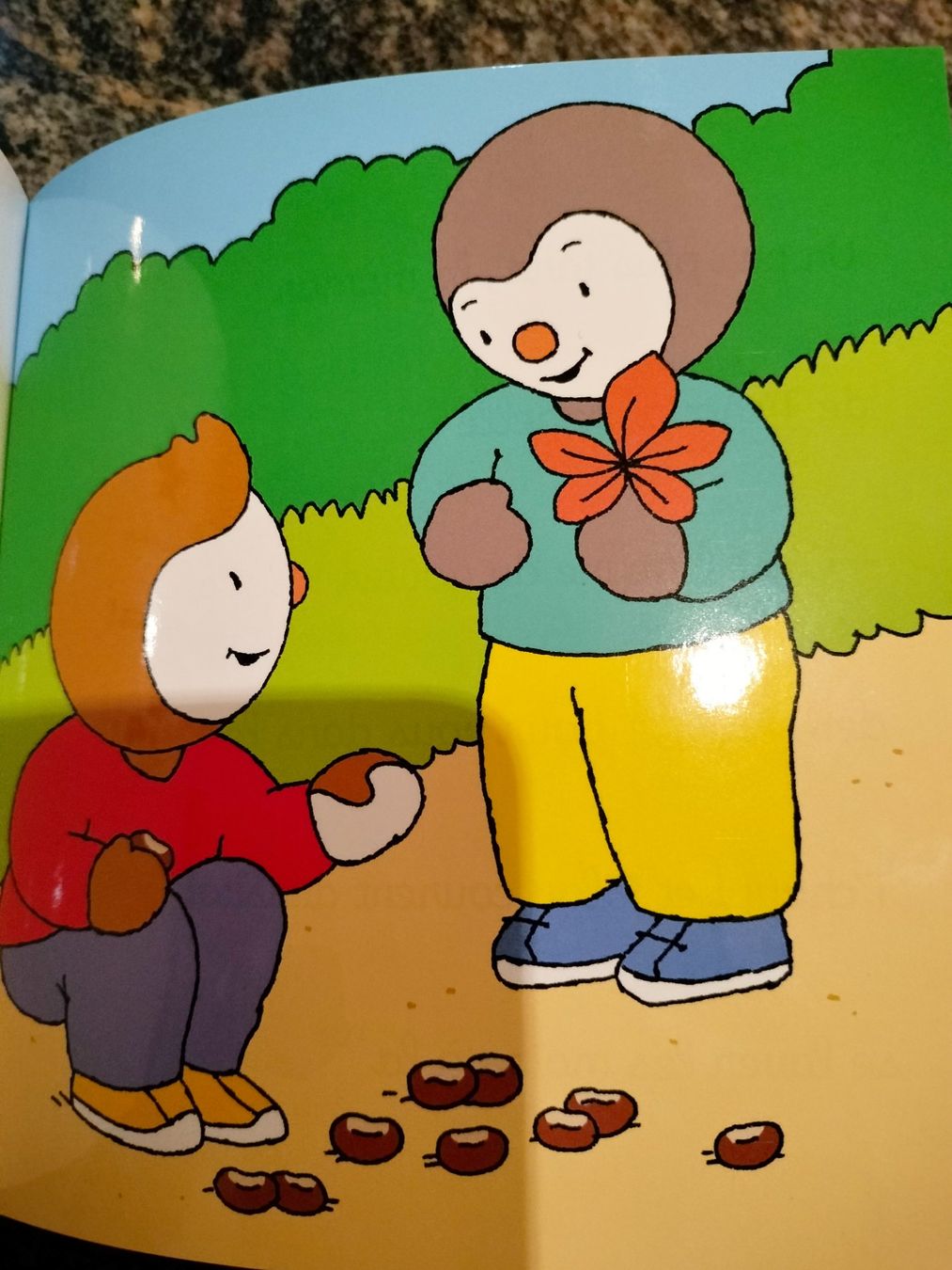 Libri: T'choupi au square dès 2ans – Usato da Cortaillod venduto da rozinna 9