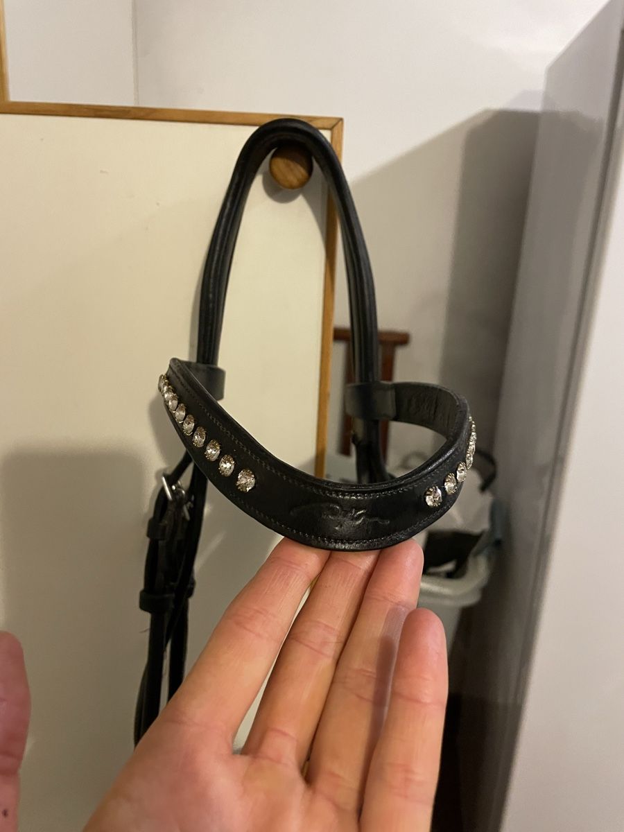 Briglie & Cavezze: DRESSAGE SNAFFLE BRIDLE DYON – Usato da Zürich venduto da Waikiki57 6