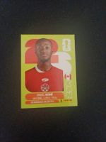 Panini Fussball Sticker Ismael Koné Canada United CAN 11
