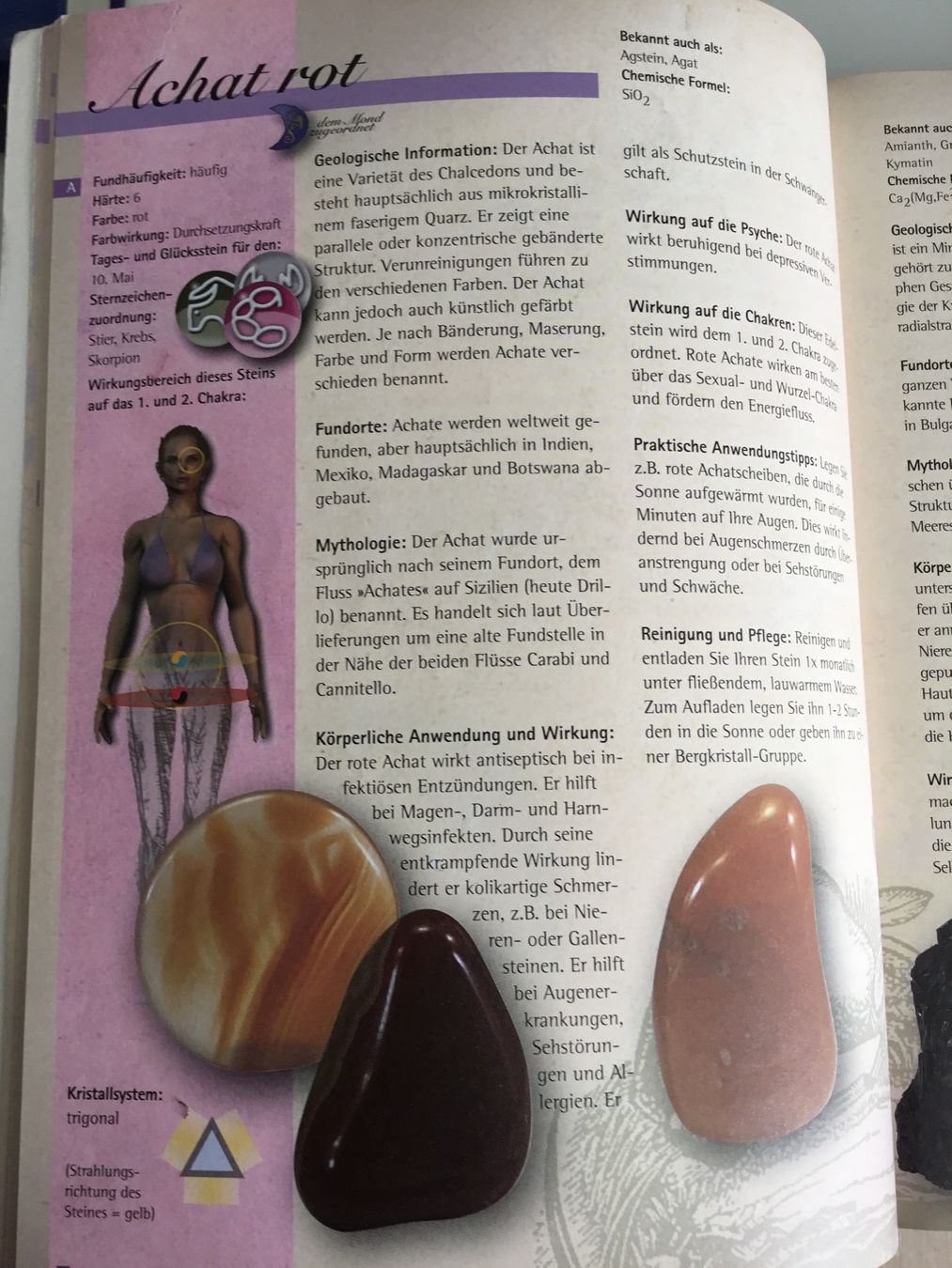 Minerali & Pietre curative: Massage Griffel aus Achat – Nuovo (secondo la descrizione) da Doppleschwand venduto da Fortuna5859 2