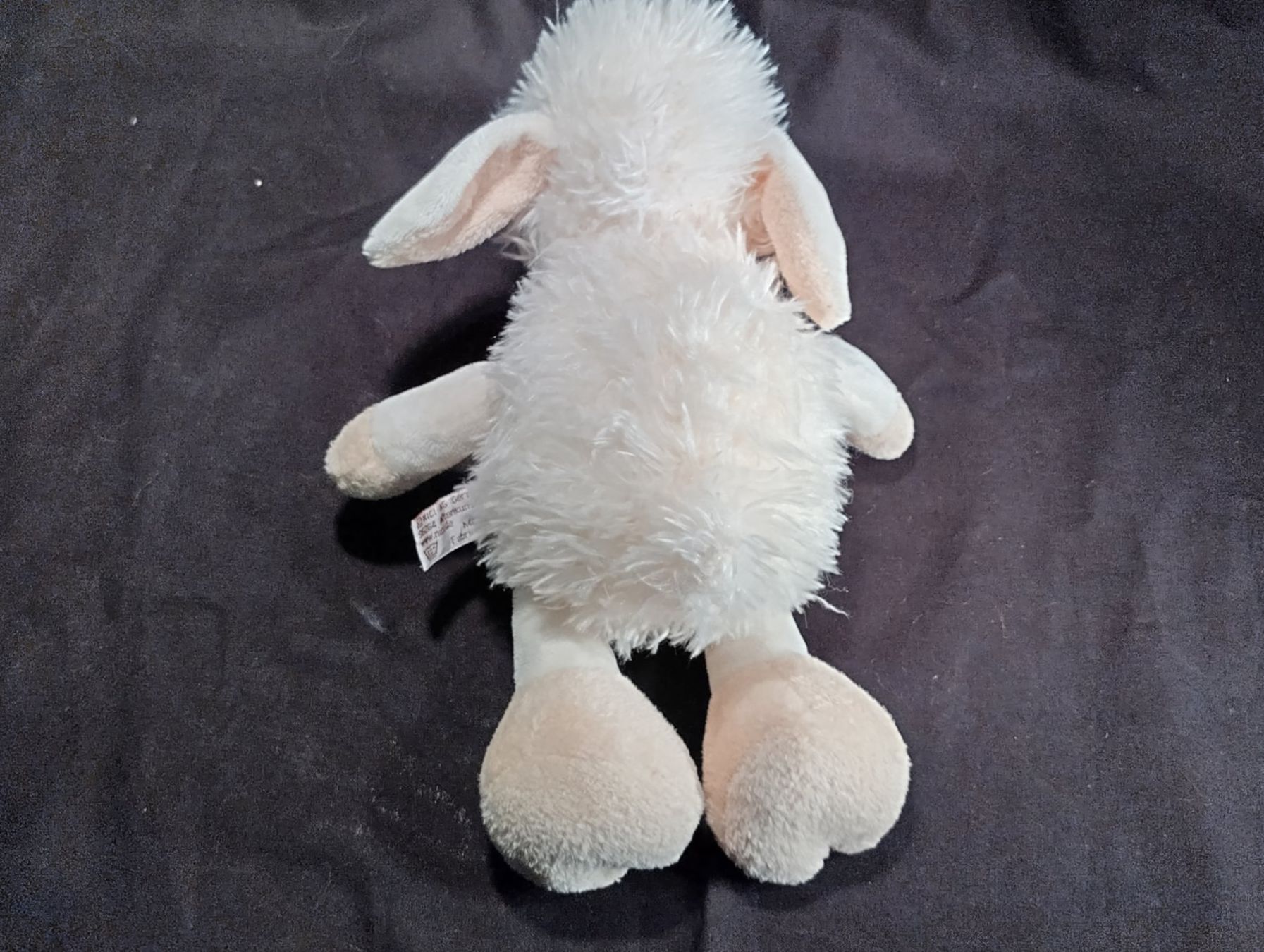 Nici Giocattoli: NICI Schaf, H: 25cm – Nuovo (secondo la descrizione) da Bellach venduto da JingleCherry 2
