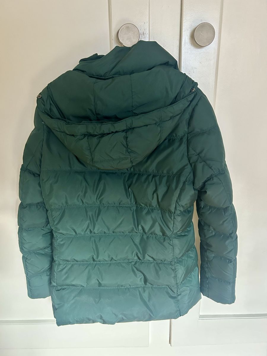 Tommy Hilfiger Giacche: Tommy Hilfiger Daunenjacke, Gr. L – Usato da Bern venduto da myb02 1