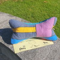 Leseknochen, Rückenkissen, Nackenkissen, Stützkissen, bunt