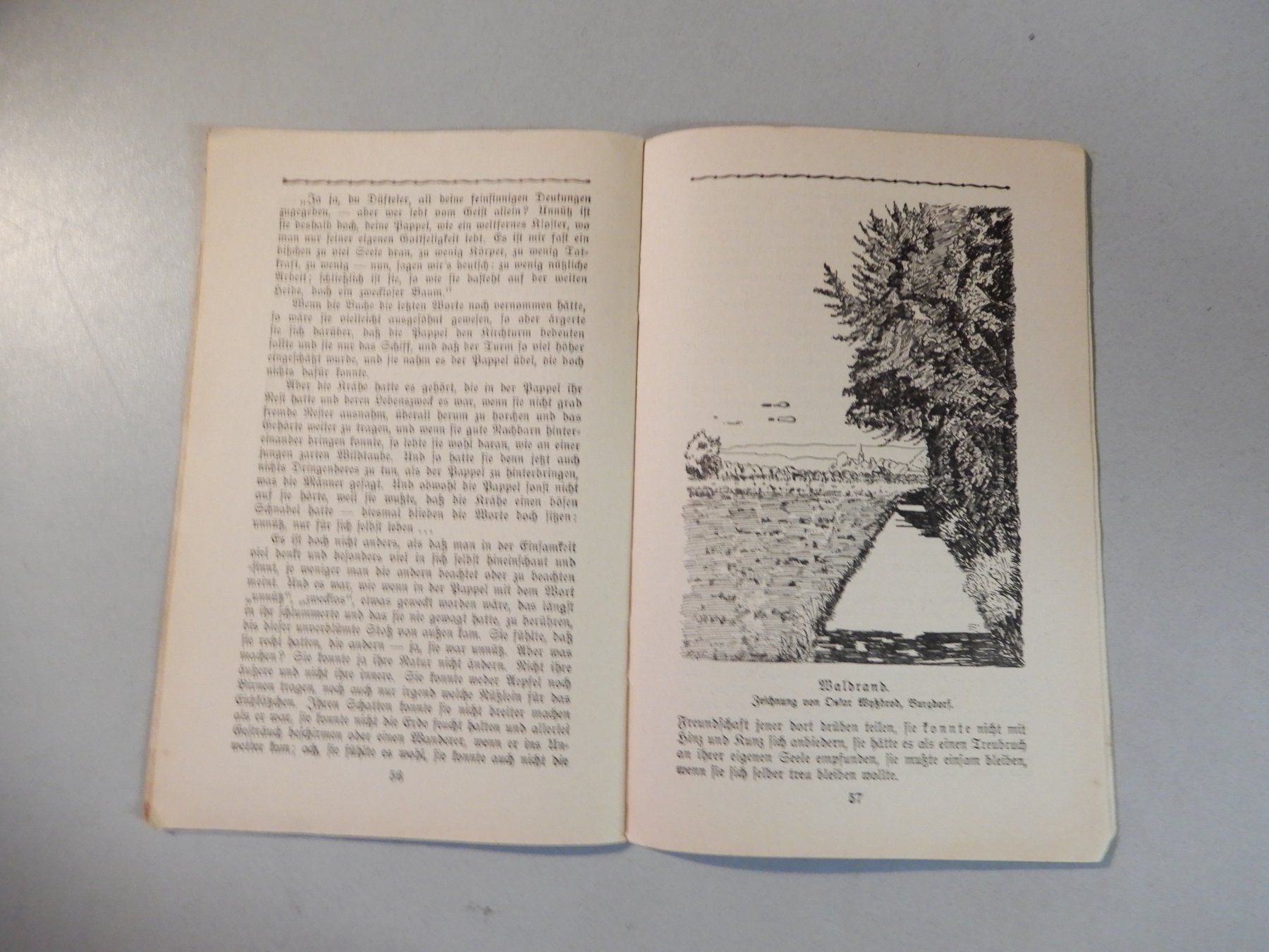 Riviste & Magazine: Antike Jugendschrift "Jugend-Born" Juli/August 1922 – Usato da Erstfeld venduto da Mario_boe0 5