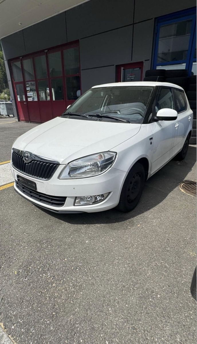 Skoda Automobili: Skoda Fabia 1.2 TSI Gtec – Usato da Willisau venduto da SM.