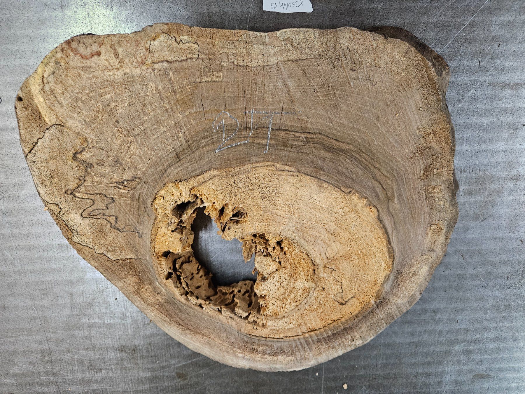 Articoli in legno: Nussbaum Holz Baumscheibe – Nuovo (secondo la descrizione) da Schangnau venduto da egli6.2 5