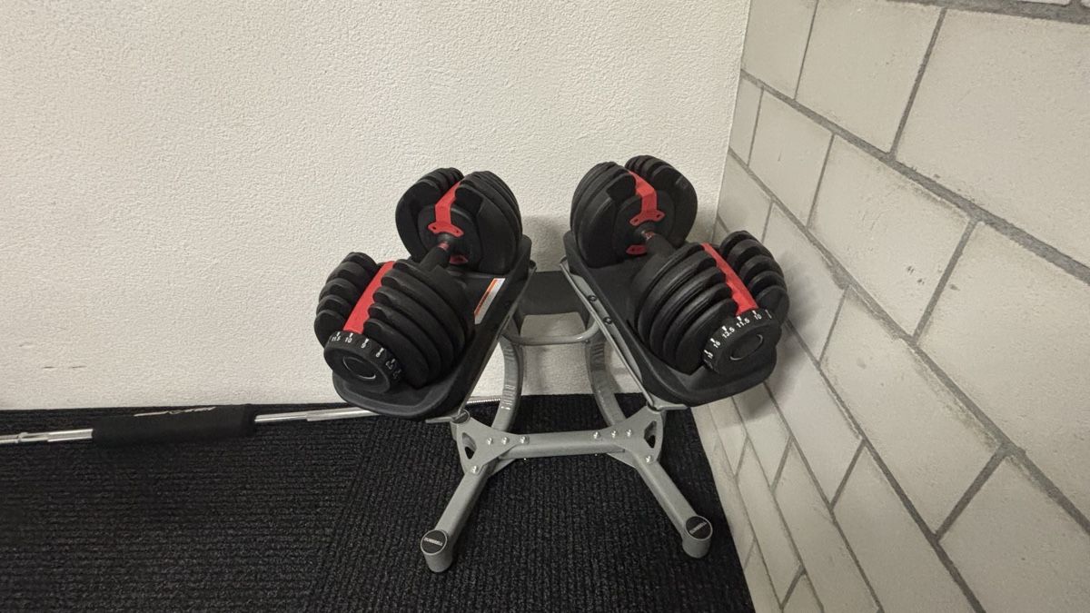 Gonser Manubri & Pesi: Verstellbare Hanteln 24kg – Usato da Arbon venduto da Ninian.A