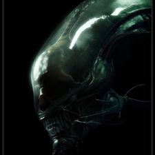 Profile image of Silenthill92