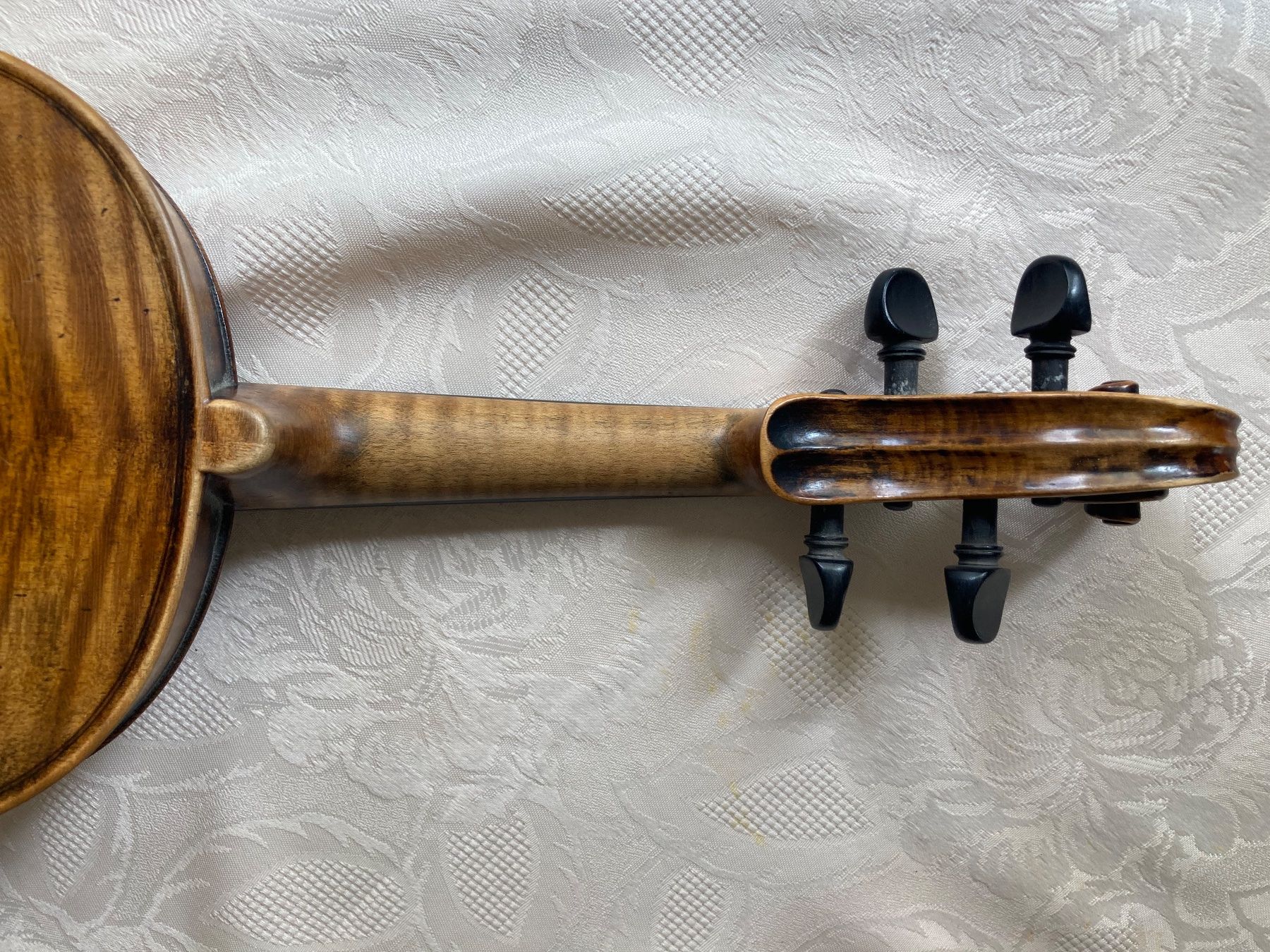 Strumenti musicali: Antonius Stradivarius Violine – Usato da Rüti ZH venduto da coccinelle88 6